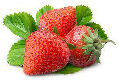 XOLDAA BEST QUALITY HYBRID STRAWBERRY Seed(145 per packet)