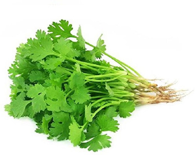CEZIUS Easy to Grow Coriander organic-a8K Seed(340 per packet)