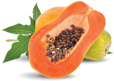 Quentova PAPITA-ROC-9A Seed(50 per packet)