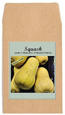 CYBEXIS Hybrid Vegetable Seeds-Squash Straightneck400 Seeds Seed(400 per packet)
