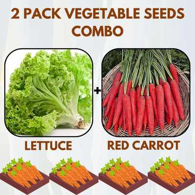 Infiniteseeds 2 Pack Combo Of Lettuce And Red Carrot Vegetable Seeds Seed(50 per packet)