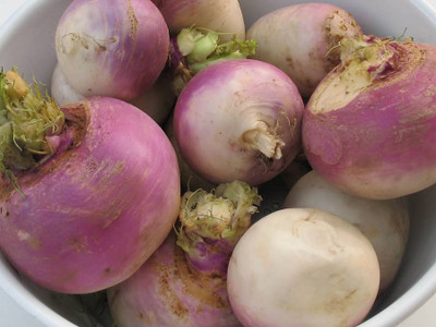 YEH White Purple Top Turnip/Shalgam Seed(120 per packet)