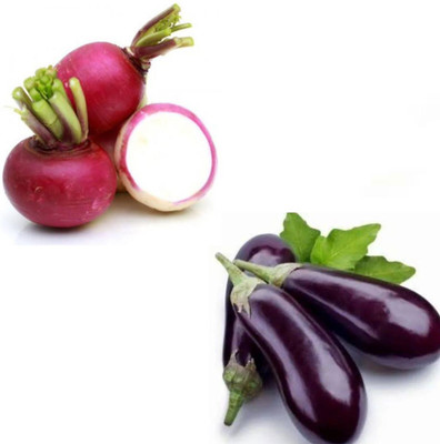 PSAgroinput shaljam begun pack of 2 Seed(100 g)