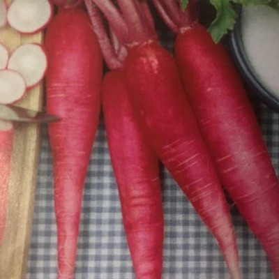 Aywal Radish Seed(650 per packet)