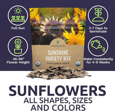 VibeX KGF -37 - Mix 10 Types of Beautiful Sunflowers - (150 Seeds) Seed(150 per packet)