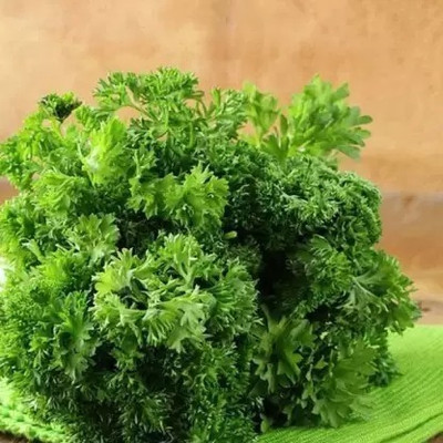 MAA Corinader, Dhania Seed(150 per packet)