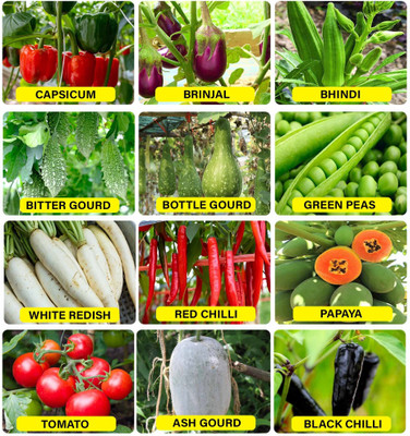 Cloud Farm Hybrid Combo Of 10 Variety Summer Season Vegetable Seed(2300 per packet)