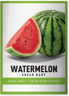 Biosnyg Watermelon Sugar Baby Seed(400 per packet)