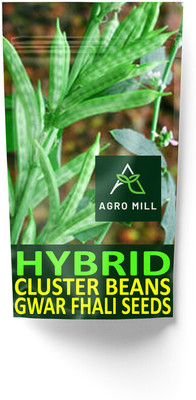 AGRO MILL HYBRID F1 PREMIUM QUALITY CLUSTER BEAN/GUAR/GAWAR FHALI FOR HOME KITCHEN GARDEN Seed(20 per packet)