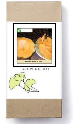 Biosnyg Hearts of Gold Musk Melon[400 Seeds] Seed(400 per packet)