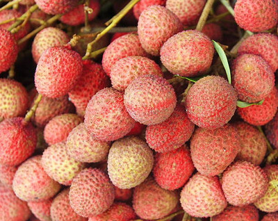 MAA LITCHI,LICHEE,LYCHEE Seed(10 per packet)