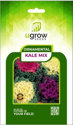 GARDENIFY INDIA GARDENIFY INIDA MIX ORNAMENTAL KALE BLEND PLANT & SEEDS ASSORTED ORNAMENTAL Seed(40 per packet)
