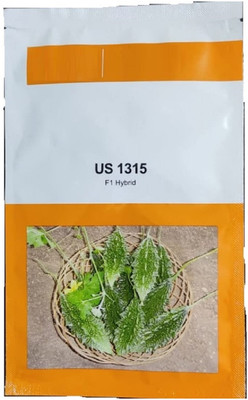 Qualtivate TLX-338 Hybrid Bitter Gourd (Karela) Seeds Seed(50 per packet)