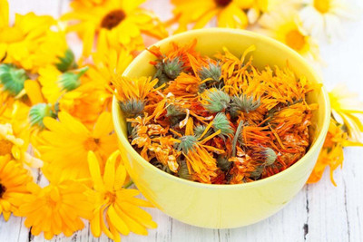 jkfarm Calendula Flower Seed(66 per packet)