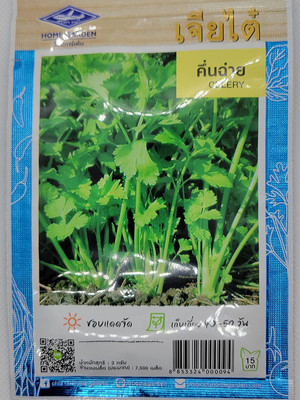 CYBEXIS XLL-1 - Thai Celery - (750 Seeds) Seed(750 per packet)
