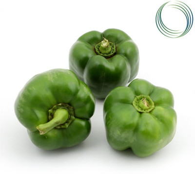 the green dotcom green capsicum vegetable hybrid seeds 1-packet Seed(105 per packet)