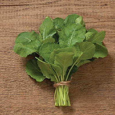 CYBEXIS KGF -37 - Highland Kale Abyssinian Mustard - (750 Seeds) Seed(750 per packet)
