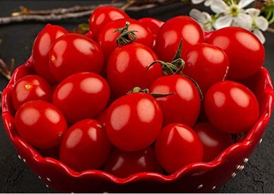 Quentova Tiny Tim Tomato 2.5gm Seeds Seed(1000 per packet)