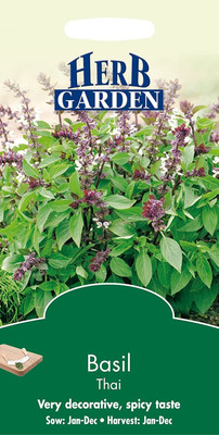 WILLVINE Herb Seeds, Basil Thai-[2000 Seeds] Seed(2000 per packet)