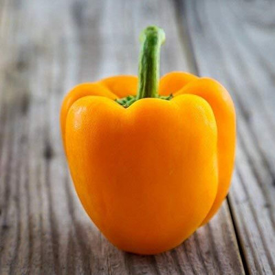 CRGO CAPSICUM , SHIMLA MIRCH Seed(40 per packet)