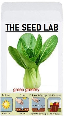 KNESSiN Pak Choi Seed(1250 per packet)