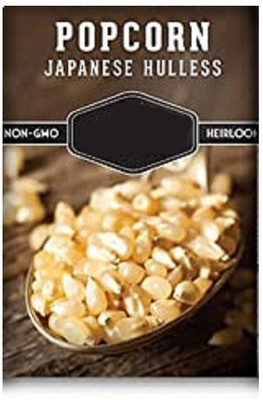 CYBEXIS Japanese Hulless Popcorn1000 Seeds Seed(1000 per packet)