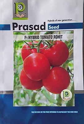 WILLVINE TOMATO SEEDS F1 HYBRID ROHIT [5g, 1500 Seeds] Seed(1500 per packet)