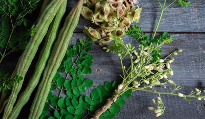 CEZIUS Nuggekai Murungaikkai Shevgyachya Mullakkada Drumstick (Moringa) Oleifera Seed(120 per packet)