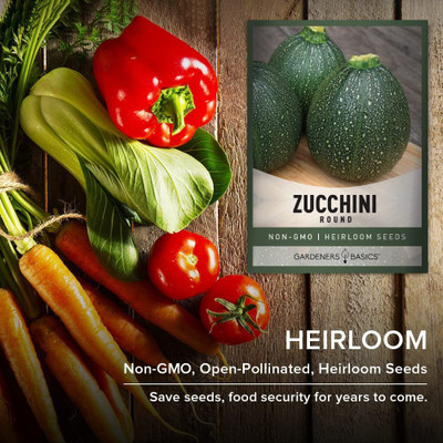 VibeX ® XXL-152 Round Zucchini Seeds for Planting Seed(100 per packet)