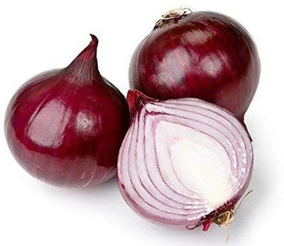 KNESSiN Easy to Grow Onion Black Vegetable Seeds for Garden-(600 Seeds) Seed(600 per packet)