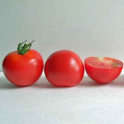 VRAKSHA Tomato Red Racer Seed(2000 per packet)