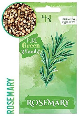CYBEXIS Heirloom Herb Seeds-Rosemary200 Seeds Seed(200 per packet)