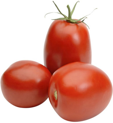 VRAKSHA Red tomatoes Seed(2000 per packet)
