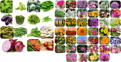STOREFLIX 55variety(40 flower and 15 vegetable)seeds combo pack with user manual.Seed Seed(6000 per packet)