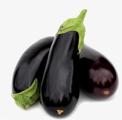 CYBEXIS Hardy Black Brinjal Seeds2400 Seeds Seed(2400 per packet)
