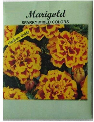 VibeX ® LXI-628 F1 French Marigold Seeds Seed(500 per packet)