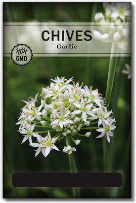 WILLVINE Non-GMO Hybrid Garlic Chives Seeds Seed(2000 per packet)