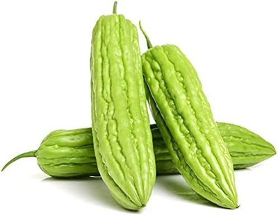 CYBEXIS Good Germination Bitter Gourd Seeds800 Seeds Seed(800 per packet)