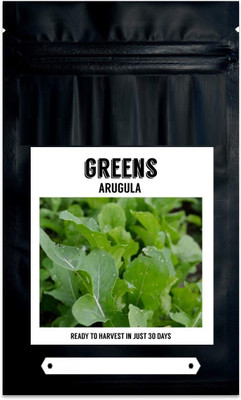 CYBEXIS NDIR-51 - Roquette (Rocket Arugula) - (750 Seeds) Seed(750 per packet)