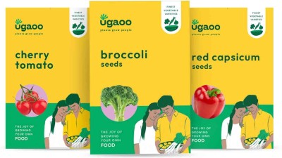 UGAOO Exotic Vegetable Seeds Combo Of Red Cherry Tomato, Broccoli, Red Capsicum Seed(300 g)