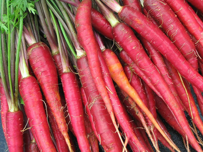 CYBEXIS Vegetable Carrot Red(लाल गाजर) seeds For Home & Gardening Winter (2000 Seeds) Seed(2000 per packet)