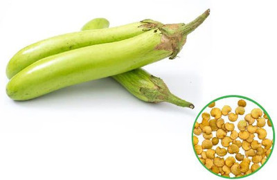 KANAYA Brinjal Seed(300 per packet)