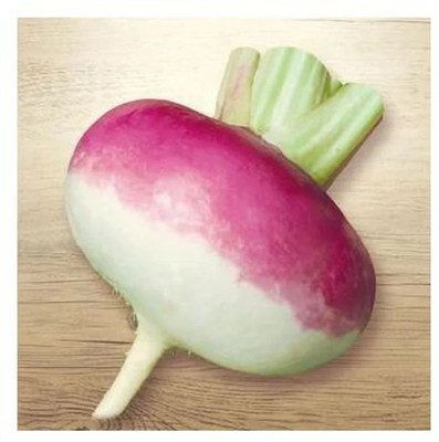 Quentova Organic - Purple Top White Globe Turnip-US-9C Seed(200 per packet)
