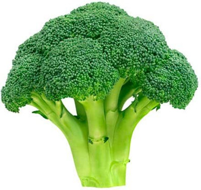 WILLVINE GBPUT -III Sakura F1 Calabrese Broccoli [25g] Seed(7500 per packet)