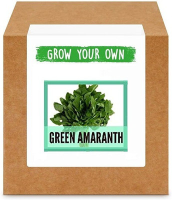 CYBEXIS Green Amaranth/Cholai2800 Seeds Seed(2800 per packet)