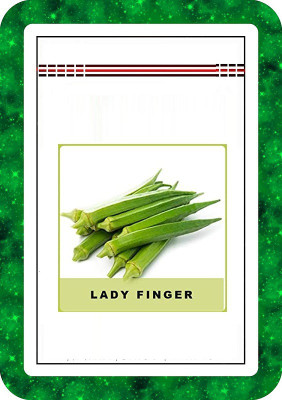CYBEXIS Lady Finger/Okra800 Seeds Seed(800 per packet)