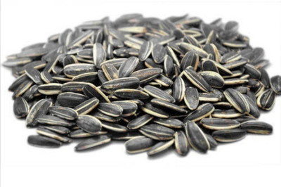 Pbevergreen SUN FLOWERS Seed(125 per packet)
