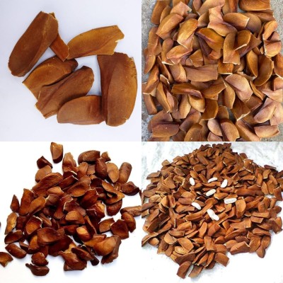 ibains African mahogany seeds bij 23 Seed(23 per packet)