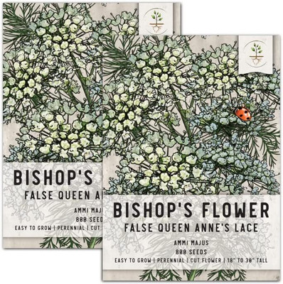 Qualtivate PUA-3A White Bishops Flower,Wild Carrot Seed(50 per packet)