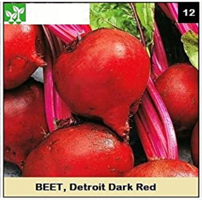 CYBEXIS DETROIT DARK RED BEETROOT-250 Seeds Seed(250 per packet)